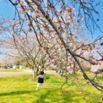 育休延長中にうっすら感じる焦燥感